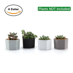 2.75" Ceramic Luster Surface succulent Plant Pot Cactus bonsai Pots Flower Pot Container Planter Matt glossy garden decoration:Doncaster Nursery