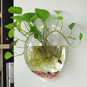 Garden Supplies Home Hanging Glass Ball Vase Flower Planter Pots Terrarium Container Home Garden Decoration:Doncaster Nursery