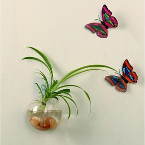 Doncaster Nursery:Garden Supplies Home Hanging Glass Ball Vase Flower Planter Pots Terrarium Container Home Garden Decoration,16cm / Medium